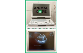 USG přístroj Mindray DP50-VET